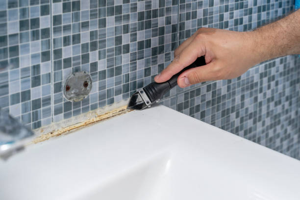 Best Mold Testing  in Paulden, AZ