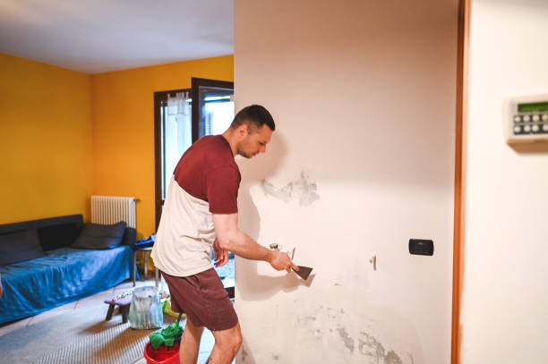 Best Mold Removal Process  in Paulden, AZ